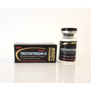 Testosteron E Bodypharm